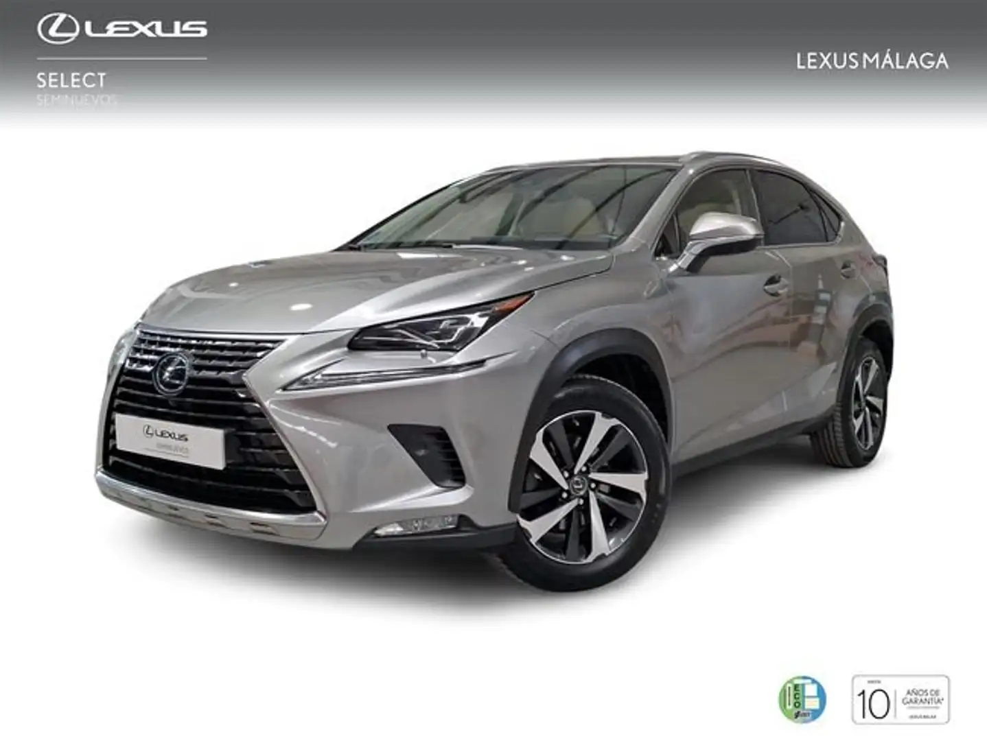 Lexus NX 300 300h Luxury 4WD Gris - 1