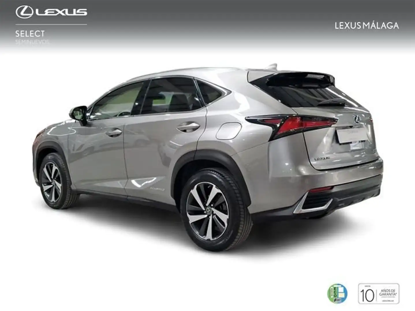 Lexus NX 300 300h Luxury 4WD Gris - 2