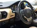 Lexus NX 300 300h Luxury 4WD Gris - thumbnail 17