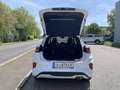 Ford Puma 1,0 EcoBoost Hybrid ST-Line Aut. Weiß - thumbnail 6