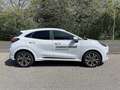 Ford Puma 1,0 EcoBoost Hybrid ST-Line Aut. Weiß - thumbnail 3