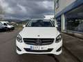 Mercedes-Benz B 220 220d 7G-DCT Blanco - thumbnail 5
