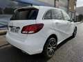Mercedes-Benz B 220 220d 7G-DCT Blanco - thumbnail 3