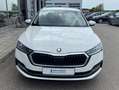 Skoda Octavia Combi 2.0 TDI Style AHK+17"+NAVI-COLUMBU Weiß - thumbnail 7