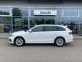 Skoda Octavia Combi 2.0 TDI Style AHK+17"+NAVI-COLUMBU Weiß - thumbnail 2