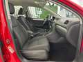 Volkswagen Golf 1.6TDI CR Bluemotion 105 Rojo - thumbnail 12