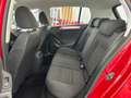 Volkswagen Golf 1.6TDI CR Bluemotion 105 Rojo - thumbnail 8
