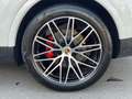 Porsche Cayenne S - PORSCHE Approved - Pano -Bose - AHK Weiß - thumbnail 25