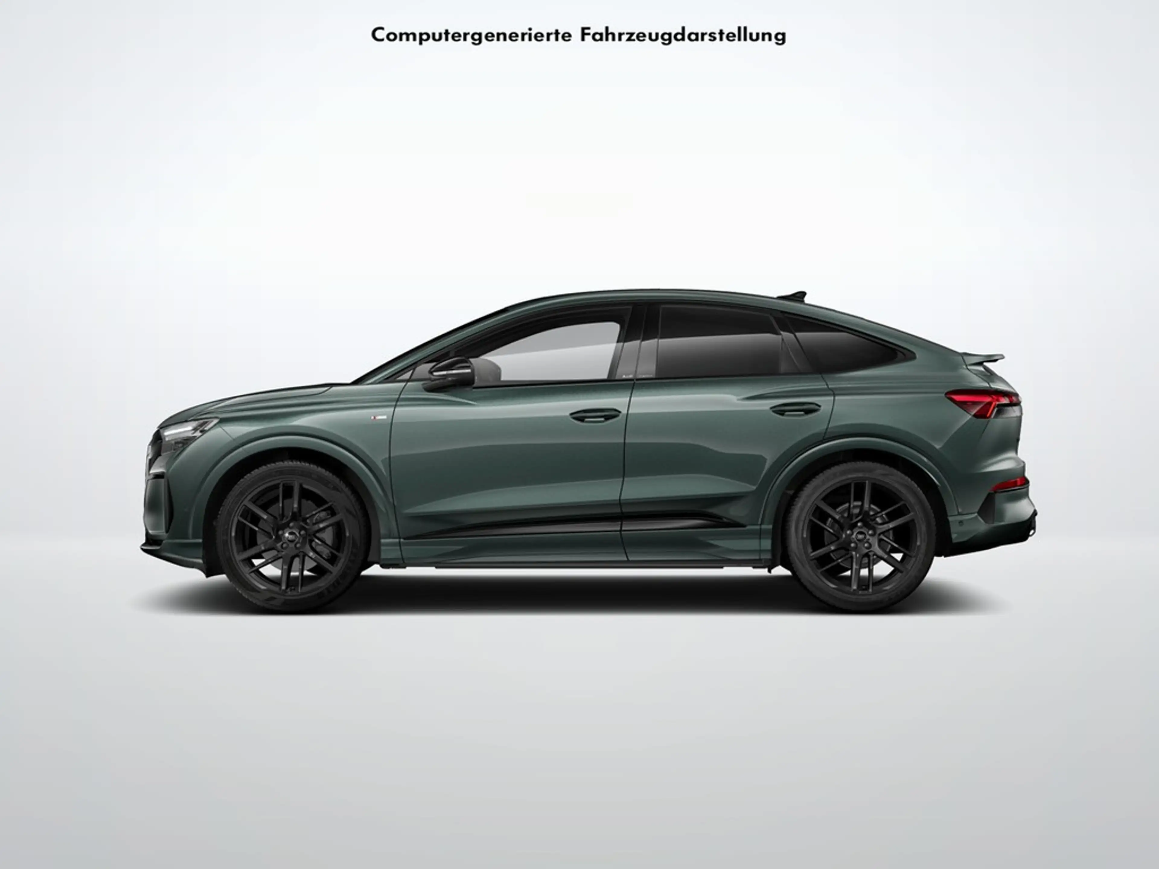 Audi e-tron quattro performance 250 kW — photo 3