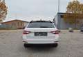 Skoda Superb Kombi 2,0 TDI Ambition DSG Weiß - thumbnail 10