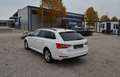 Skoda Superb Kombi 2,0 TDI Ambition DSG Weiß - thumbnail 8