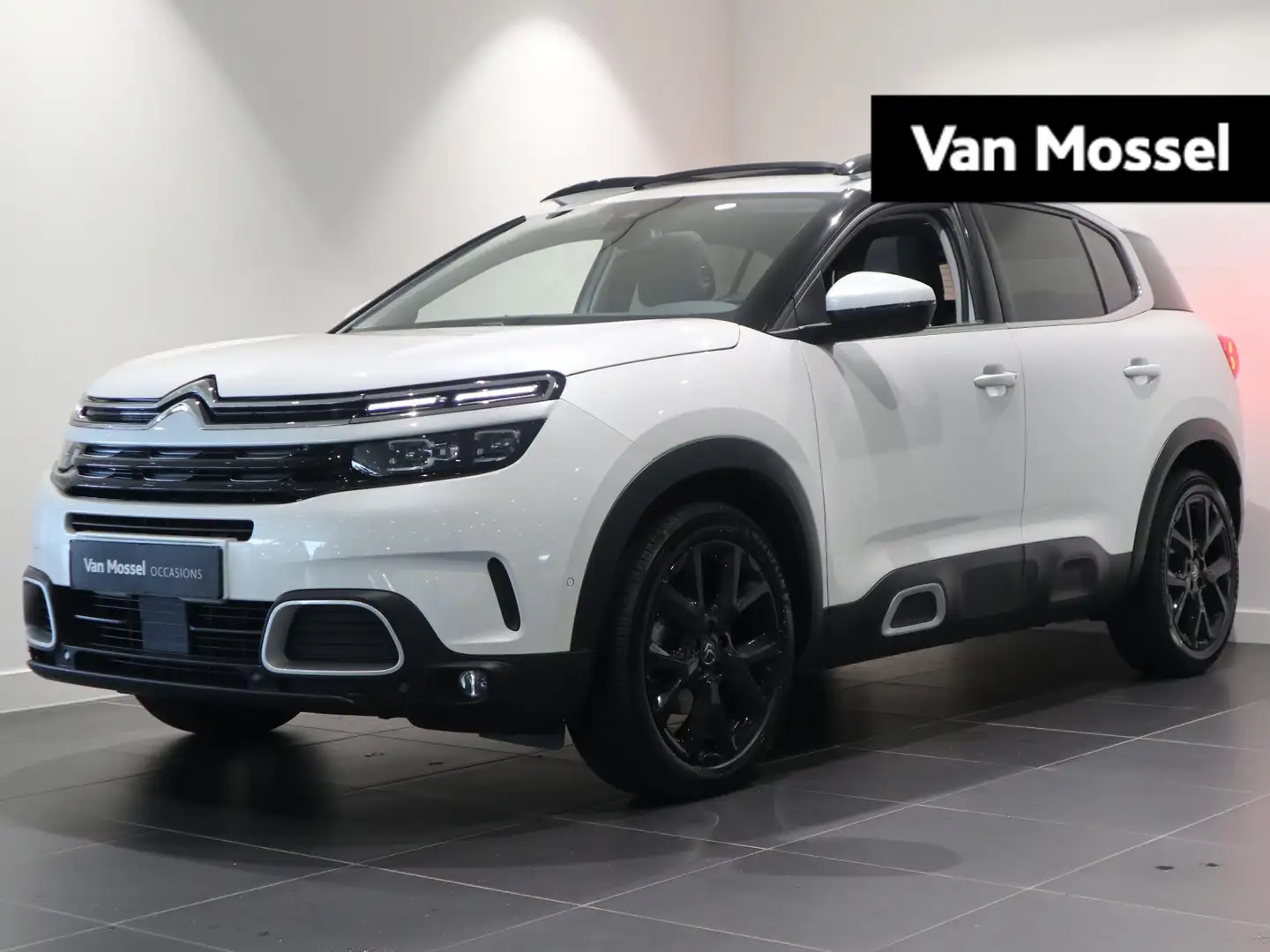 Citroen C5 Aircross Business Plus - SCHUIF/KANTELDAK - LEDER INTERIEUR Blanc - 1