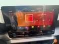 SEAT Leon ST 1.5 EcoTSI S&S FR Fast Edition Plus 150 Rojo - thumbnail 16