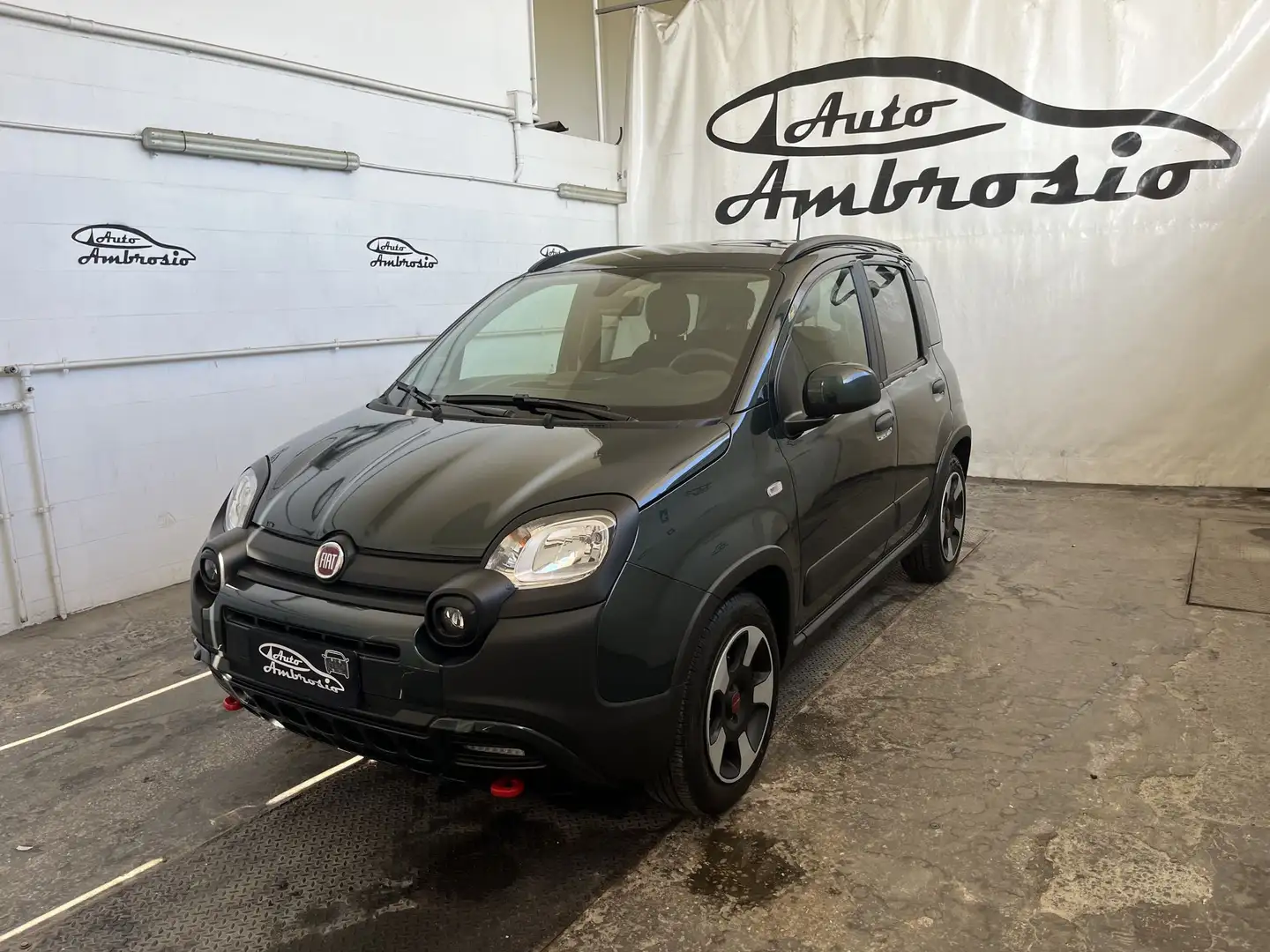 Fiat Panda 1.0 FireFly S&S Hybrid TUA DA 159,00 al mese Verde - 1