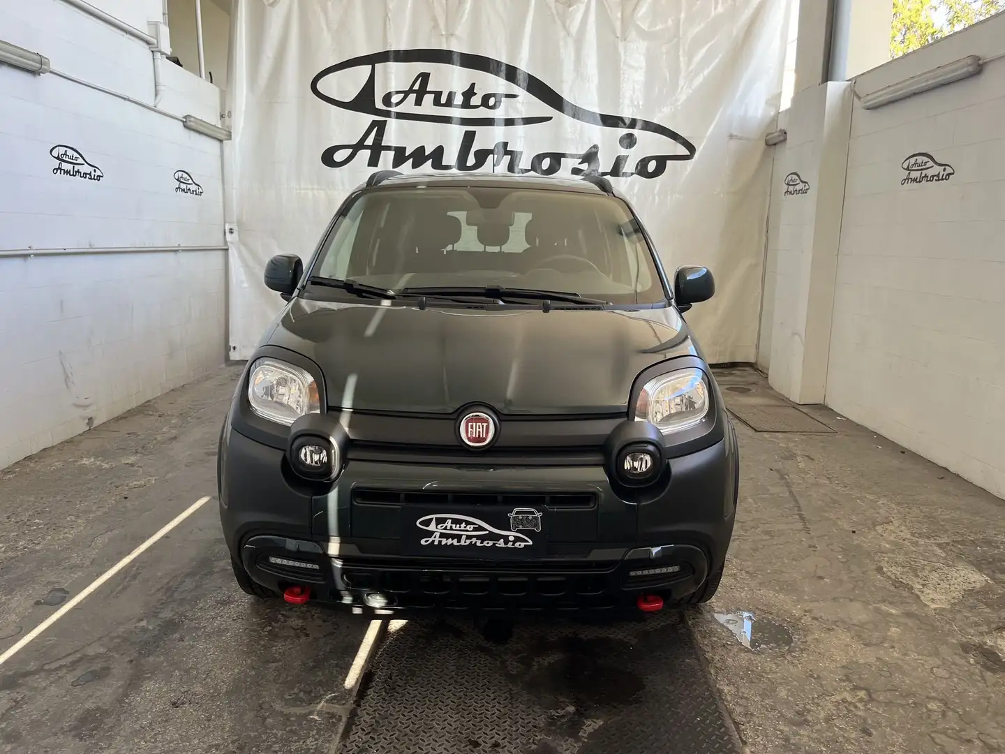 Fiat Panda 1.0 FireFly S&S Hybrid TUA DA 159,00 al mese Verde - 2