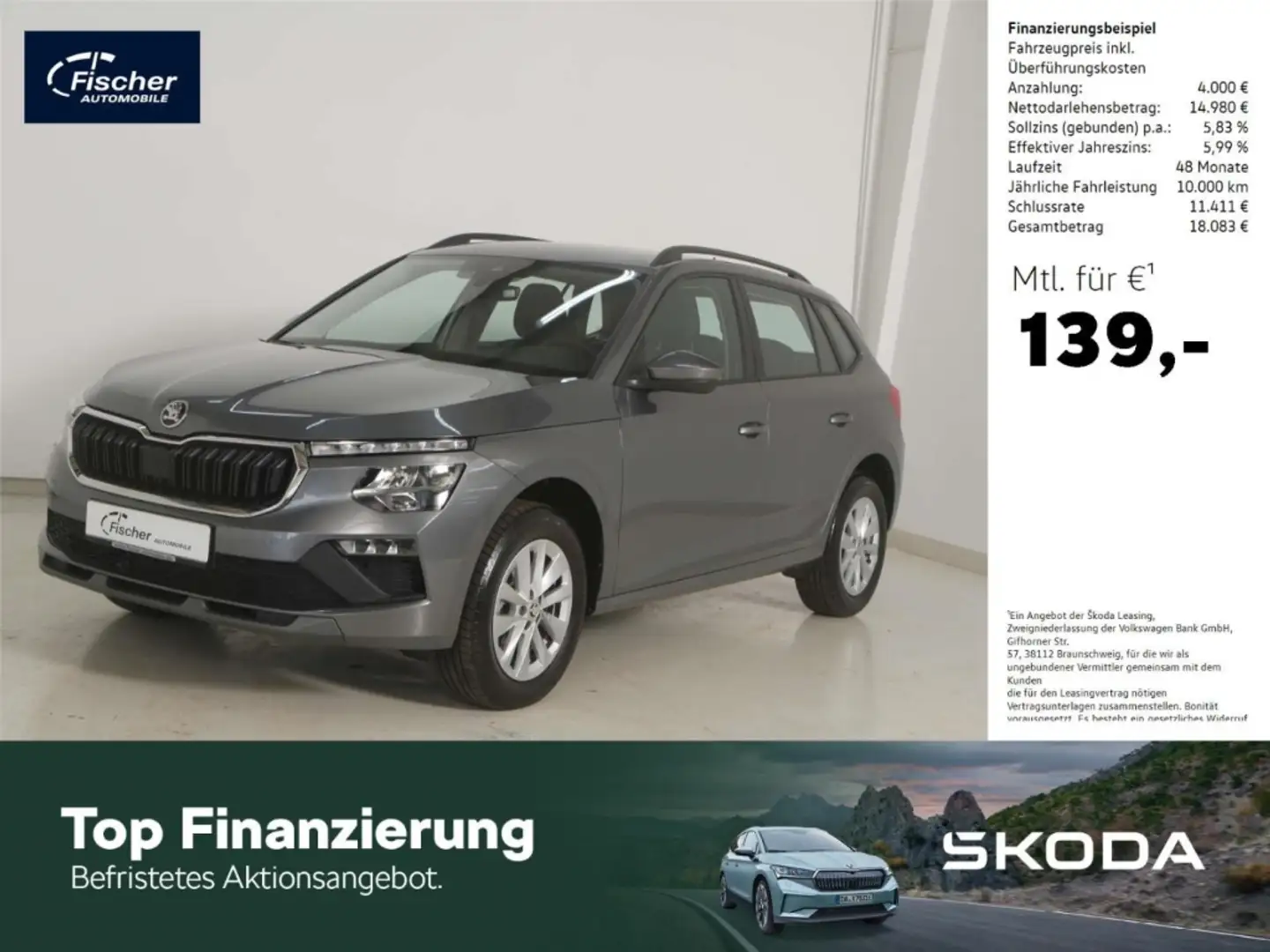 Skoda Kamiq 1.0 TSI Selection 6Gg. LED/DAB+/SERVO Grau - 1