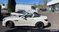 Mercedes-Benz SLK Classe Mercedes 55 AMG V8 421Ch 7G Tronic Blanc - thumbnail 3