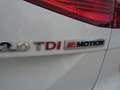 Volkswagen Passat Alltrack BMT 2,0 TDI 4Motion DSG * Allrad Weiß - thumbnail 30