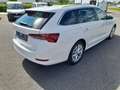 Skoda Octavia Wagon 2.0 tdi evo Style 150cv dsg Bianco - thumbnail 5