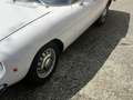 Alfa Romeo Spider Duetto 1300 coda tronca 1971 bijela - thumbnail 5