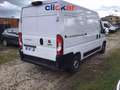 Fiat Ducato 33 MH2 2.2 mjt3 140cv Bianco - thumbnail 3