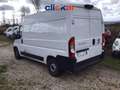 Fiat Ducato 33 MH2 2.2 mjt3 140cv Bianco - thumbnail 4