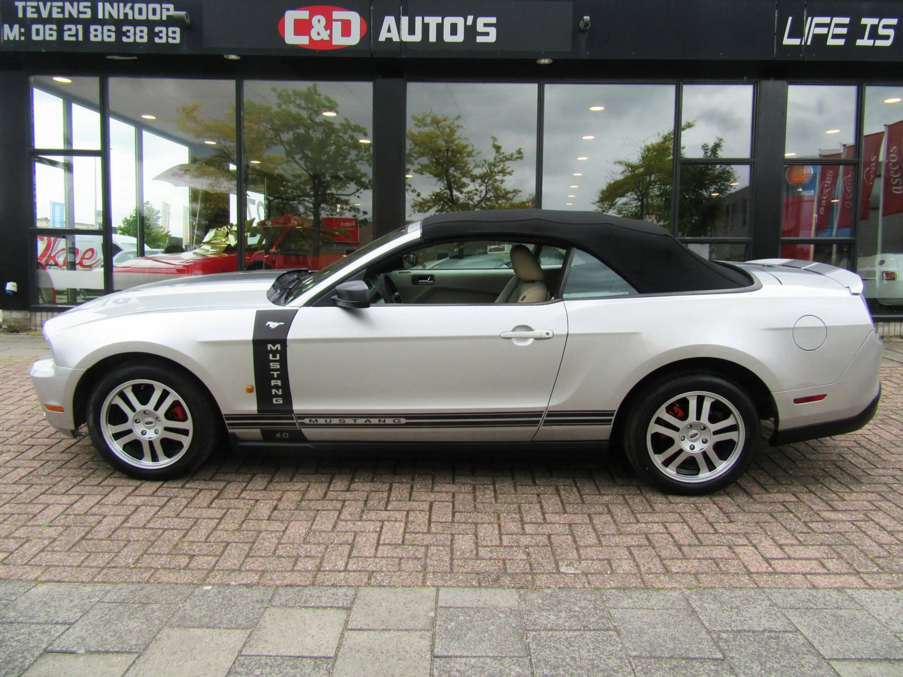 Ford Mustang USA 4.0 2010 UNIEKE SHOWCAR CABRIO FACELIFT — photo 5