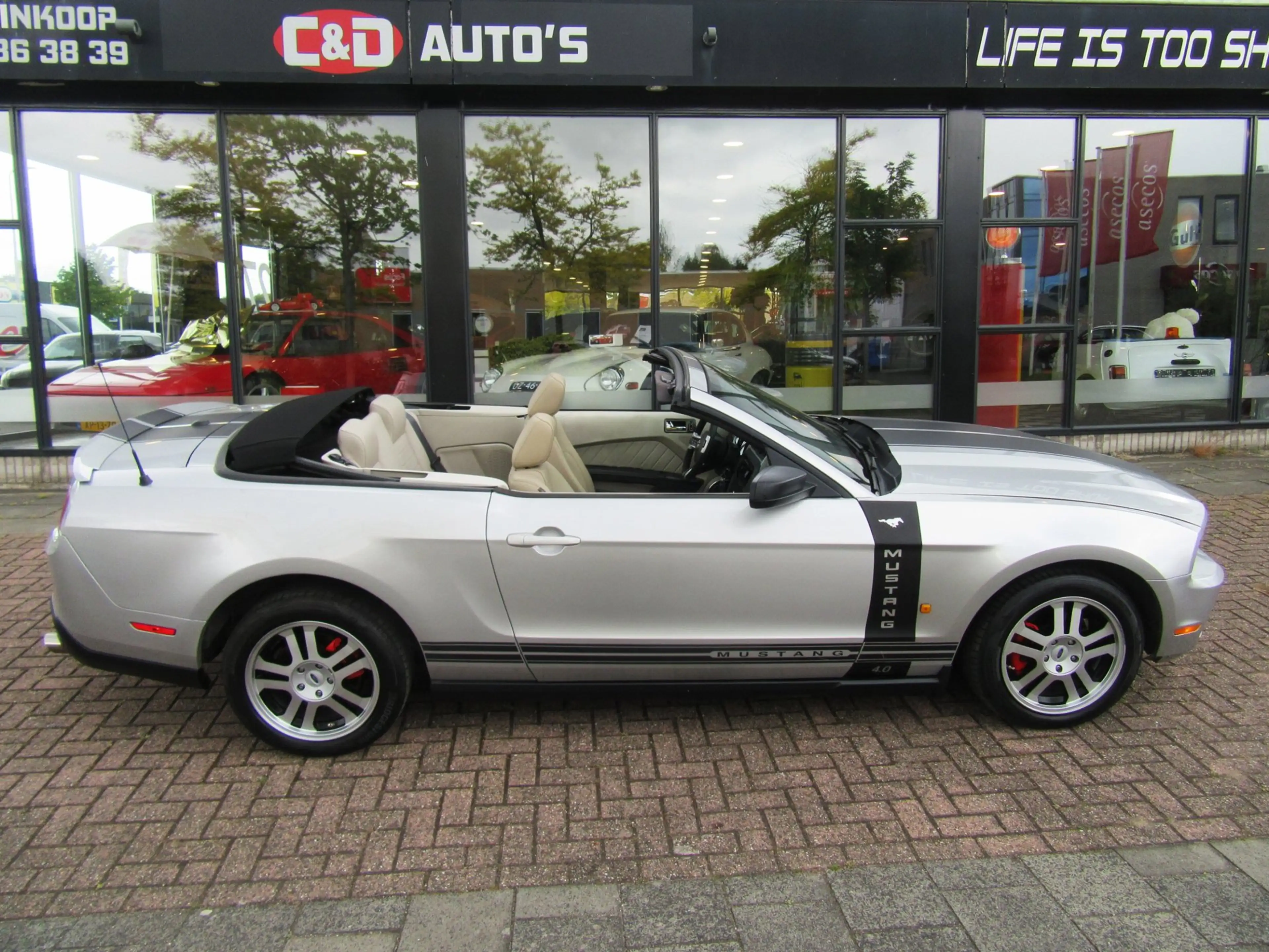 Ford Mustang USA 4.0 2010 UNIEKE SHOWCAR CABRIO FACELIFT — photo 6