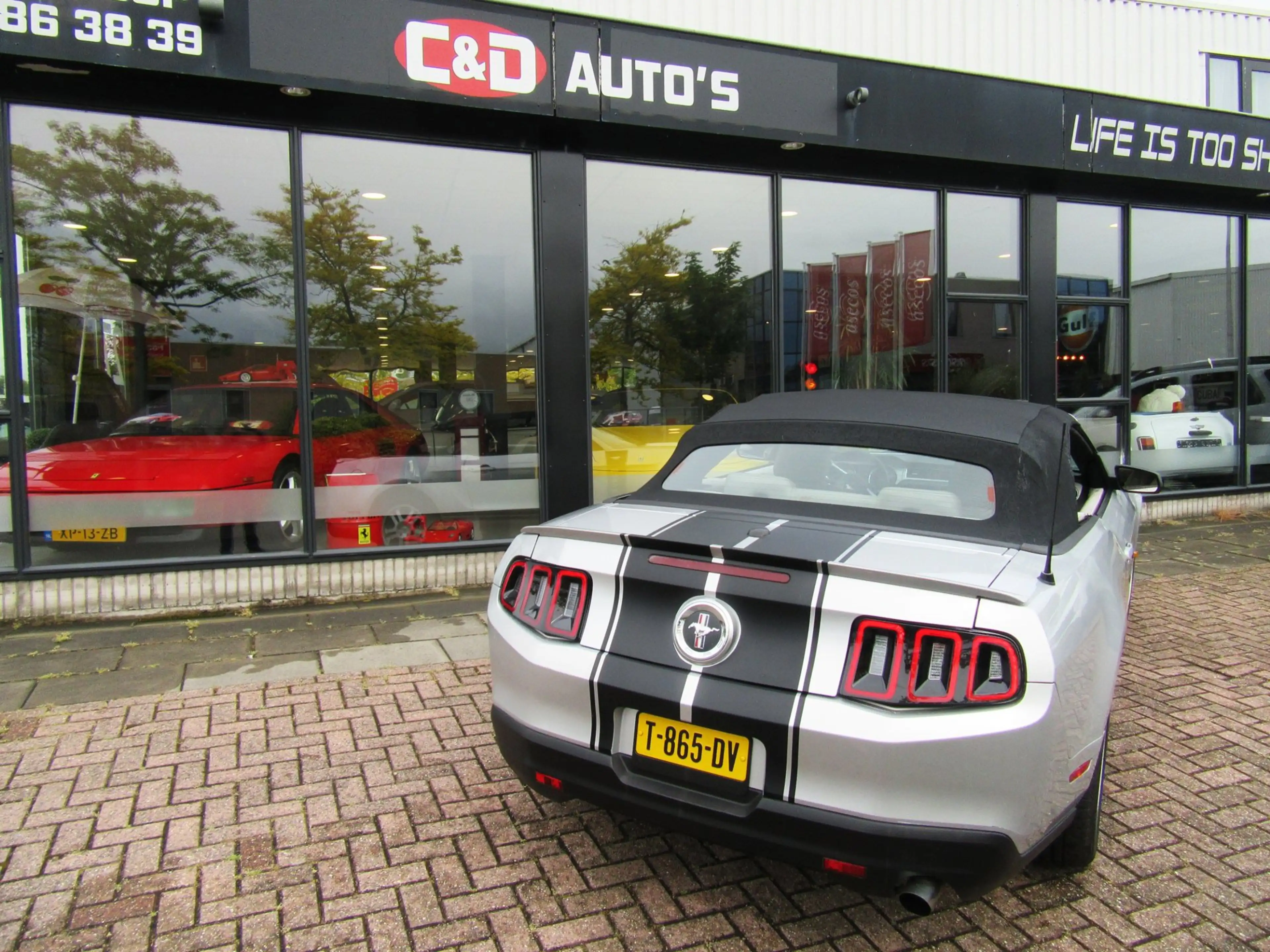 Ford Mustang USA 4.0 2010 UNIEKE SHOWCAR CABRIO FACELIFT — photo 8