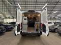 Ford Transit FT 350 2.0 TDCi AHK|PDC|Navi Blanco - thumbnail 6