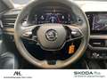 Skoda Kamiq 1.5 TSI Clever DSG SmartLink AHK DAB LED Grijs - thumbnail 20