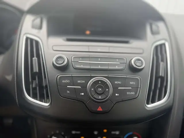 Ford Focus view 18