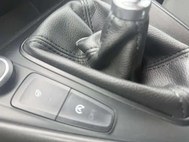Ford Focus view 20