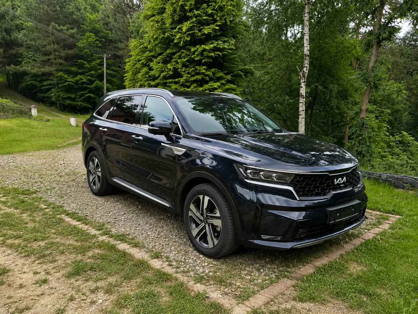 Kia Sorento Sorento 1,6 T-GDI Plug-In Hybrid GPF AWD Gold Aut. Gold Blau - 1