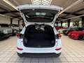 Hyundai TUCSON blue Passion 2WD 2.Hand Scheckheft Weiß - thumbnail 17