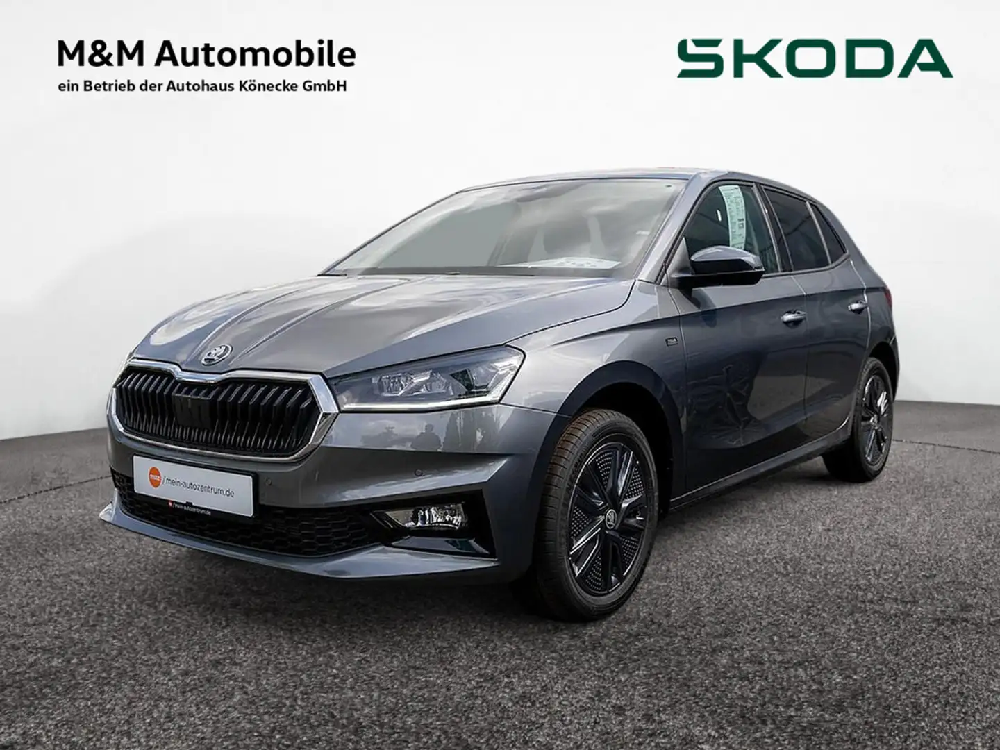 Skoda Fabia 1.0 TSI Tour KLIMA PDC SHZ KAMERA LED Grau - 1