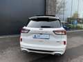 Ford Kuga 2.5 PHEV 225pk ST-Line X Panorama, AGR, Camera's, Blanc - thumbnail 9
