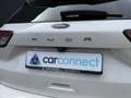 Ford Kuga 2.5 PHEV 225pk ST-Line X Panorama, AGR, Camera's, Blanc - thumbnail 10