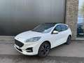 Ford Kuga 2.5 PHEV 225pk ST-Line X Panorama, AGR, Camera's, Blanc - thumbnail 1