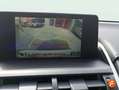 Lexus NX 300 300h Business Navigation 2WD Blanco - thumbnail 16