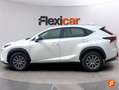 Lexus NX 300 300h Business Navigation 2WD Blanco - thumbnail 3