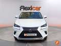 Lexus NX 300 300h Business Navigation 2WD Blanco - thumbnail 9