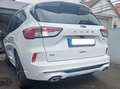 Ford Kuga Kuga 4x4 Aut. ST-LINE X Standh. El.AHK Pano Voll! Weiß - thumbnail 2