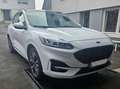 Ford Kuga Kuga 4x4 Aut. ST-LINE X Standh. El.AHK Pano Voll! Weiß - thumbnail 4