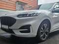Ford Kuga Kuga 4x4 Aut. ST-LINE X Standh. El.AHK Pano Voll! Weiß - thumbnail 3