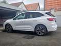 Ford Kuga Kuga 4x4 Aut. ST-LINE X Standh. El.AHK Pano Voll! Weiß - thumbnail 1