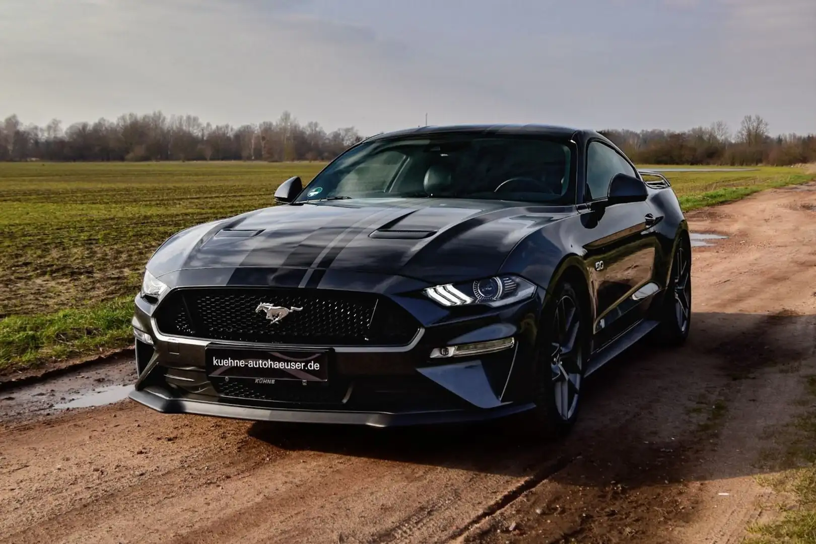 Ford Mustang Fastback 5.0 Ti-VCT V8 GT | PREMIUM PACK Gri - 2