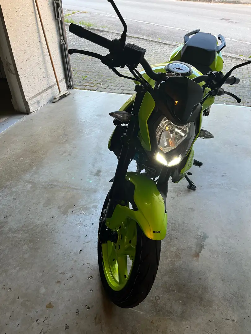 Benelli 124 BN Verde - 2