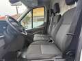 Ford Transit 350 2.0TDCi EcoBlue 170  PM-TM Furgone Trend Bianco - thumbnail 9