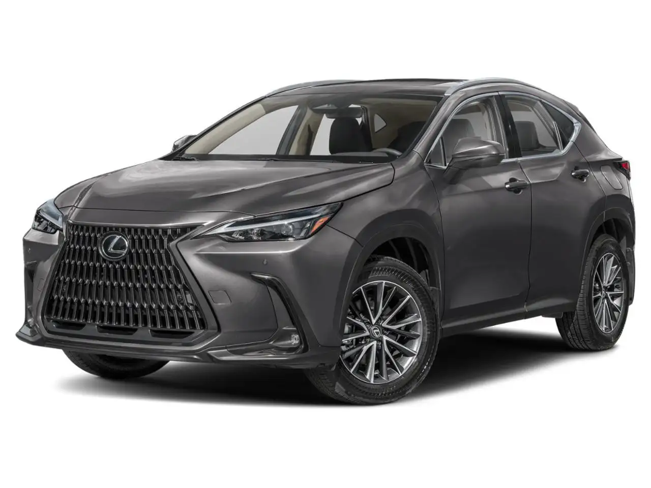 2026 Lexus NX photo 2026 Lexus NX